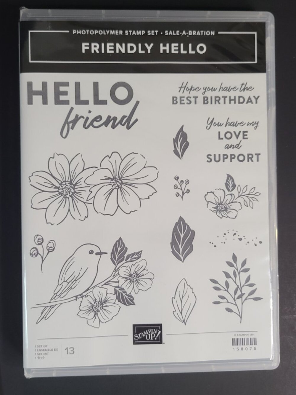 Stampin' Up! Friendly Hello Stamp Set with 12x12 Designer Series Paper DSP - Picture 3 of 9